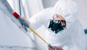 Best Bed Bug Extermination  in Meraux, LA